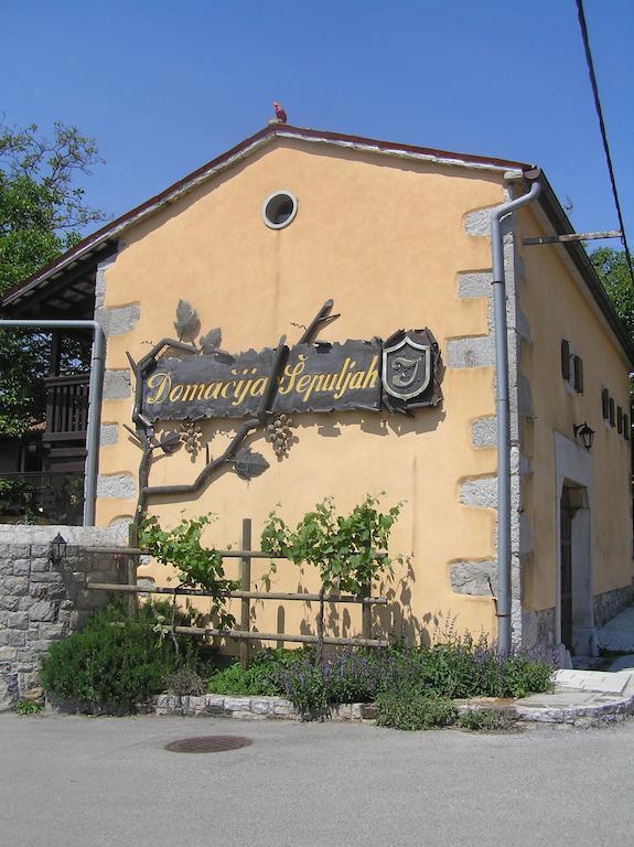Guesthouse Domacija Sajna Sežana Εξωτερικό φωτογραφία